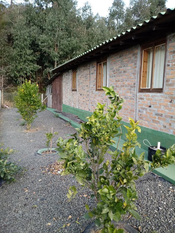 Casa Aconchegante Em Urubici Villa ภายนอก รูปภาพ